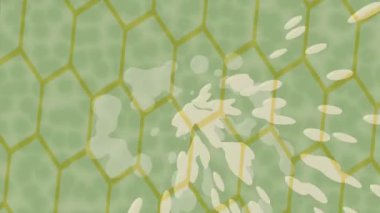 Benzersiz dijital hareket grafiklerine sahip yaratıcı sinematik projeler için yumuşak animasyon yüzeyi