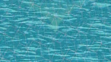 Benzersiz dijital hareket grafiklerine sahip yaratıcı sinematik projeler için yumuşak animasyon yüzeyi