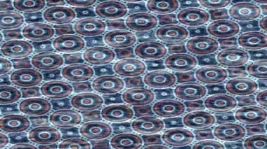 Profesyonel video projeleri sanat tarzı için organik hareketli arkaplan tasarımı