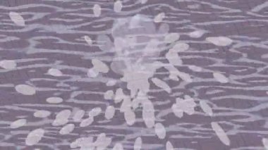 Lüks hareket projeleri için soyut tasarım stili animasyonu olan üst düzey dijital doku