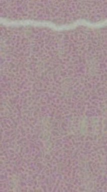 Dijital doku yüzey tasarım biçimi ile modern video animasyonu için gelişmiş hareket grafikleri