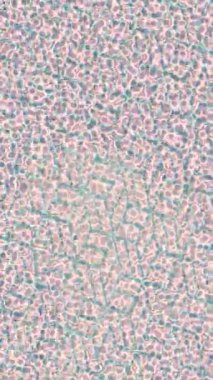 Benzersiz dijital animasyon tarzı grafikleri olan yaratıcı ortam tasarımı için yenilikçi hareket dokusu