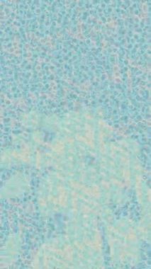 Benzersiz dijital hareket grafiklerine sahip yaratıcı sinematik projeler için yumuşak animasyon yüzeyi