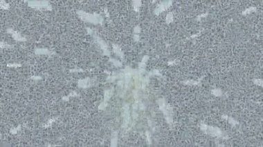 Yaratıcı video düzenleme film tasarımı için benzersiz hareket grafikleri biçimi giriş hareketi video pro