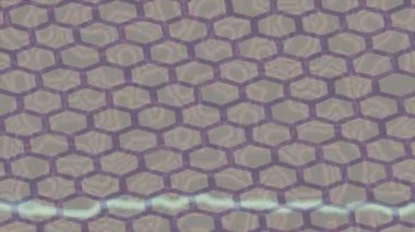 Lüks hareket tasarımı üst düzey video projeleri ve dijital sanat için zarif, pürüzsüz bir dokusu var.