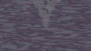 Lüks hareket projeleri için soyut tasarım stili animasyonu olan üst düzey dijital doku