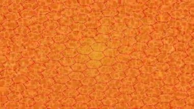 Lüks hareket projeleri için soyut tasarım stili animasyonu olan üst düzey dijital doku