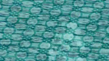 Benzersiz dijital animasyon tarzı grafikleri olan yaratıcı ortam tasarımı için yenilikçi hareket dokusu