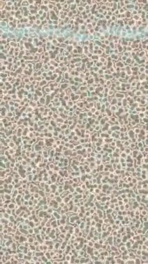 Benzersiz dijital animasyon tarzı grafikleri olan yaratıcı ortam tasarımı için yenilikçi hareket dokusu