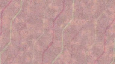 Profesyonel video projeleri sanat tarzı için organik hareketli arkaplan tasarımı