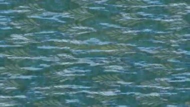 Benzersiz hareket dokusu tasarım sanatı ile profesyonel video düzenleme için modern soyut grafikler