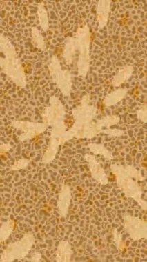 Yaratıcı video düzenleme film arkaplan tasarımı için minimalist organik hareket grafikleri