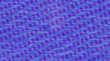 Yaratıcı video düzenleme film arkaplan tasarımı için minimalist organik hareket grafikleri