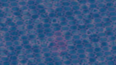 Profesyonel video projeleri sanat tarzı için organik hareketli arkaplan tasarımı