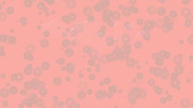 Benzersiz dijital hareket grafiklerine sahip yaratıcı sinematik projeler için yumuşak animasyon yüzeyi