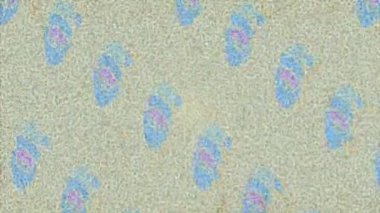 Estetik doku arkaplan tasarımı renkli hareket grafikleri ile moda film giriş profosyoneli