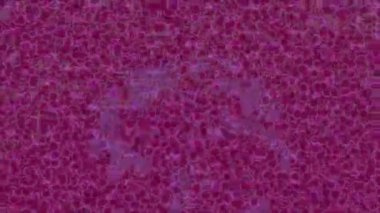 Soyut hareket desenli fütüristik video üretimi için dinamik dijital arkaplan