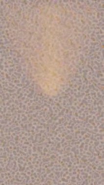 Organik desenli yüzey giriş stili video film sanatı ile soyut arkaplan tasarımı