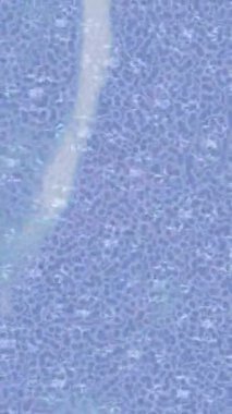 Benzersiz hareket grafikleri tasarım sanatına sahip yaratıcı film üretimi için özet bir arkaplan