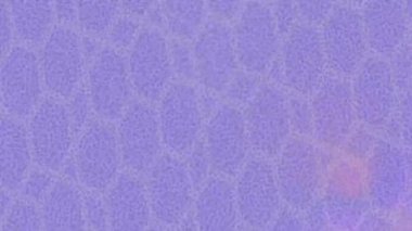 Yaratıcı video düzenleme film arkaplan tasarımı için minimalist organik hareket grafikleri