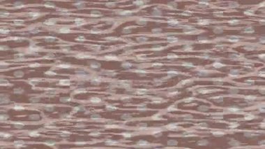 Benzersiz hareket grafikleri tasarım sanatına sahip yaratıcı film üretimi için özet bir arkaplan