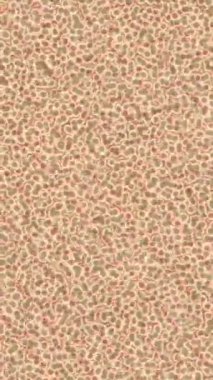 Benzersiz video giriş tasarımı projeleri için detaylı yüzey kalıbı film animasyon stili grafik girişi