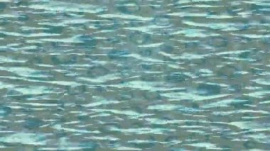 Yaratıcı video düzenleme film arkaplan tasarımı için minimalist organik hareket grafikleri