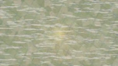 Benzersiz video giriş tasarımı projeleri için detaylı yüzey kalıbı film animasyon stili grafik girişi