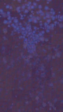 Benzersiz video giriş tasarımı projeleri için detaylı yüzey kalıbı film animasyon stili grafik girişi