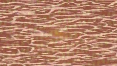 Lüks hareket projeleri için soyut tasarım stili animasyonu olan üst düzey dijital doku