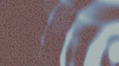 Dijital doku yüzey tasarım biçimi ile modern video animasyonu için gelişmiş hareket grafikleri