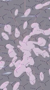 Benzersiz dijital hareket grafiklerine sahip yaratıcı sinematik projeler için yumuşak animasyon yüzeyi