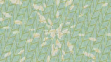 Lüks hareket tasarımı üst düzey video projeleri ve dijital sanat için zarif, pürüzsüz bir dokusu var.