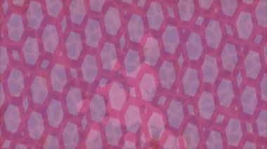 Dijital doku yüzey tasarım biçimi ile modern video animasyonu için gelişmiş hareket grafikleri