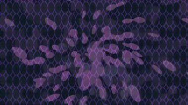 Benzersiz dijital hareket grafiklerine sahip yaratıcı sinematik projeler için yumuşak animasyon yüzeyi