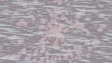 Yaratıcı video düzenleme film tasarımı için benzersiz hareket grafikleri biçimi giriş hareketi video pro