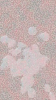 Soyut hareket desenli fütüristik video üretimi için dinamik dijital arkaplan