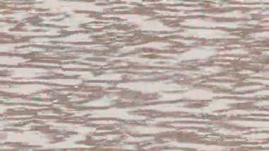 Yaratıcı video düzenleme film arkaplan tasarımı için minimalist organik hareket grafikleri