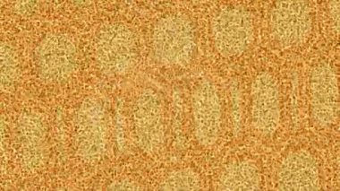 Organik desenli yüzey giriş stili video film sanatı ile soyut arkaplan tasarımı