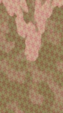 Estetik doku arkaplan tasarımı renkli hareket grafikleri ile moda film giriş profosyoneli