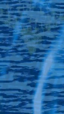 Benzersiz dijital animasyon tarzı grafikleri olan yaratıcı ortam tasarımı için yenilikçi hareket dokusu