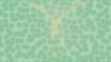 Benzersiz hareket dokusu tasarım sanatı ile profesyonel video düzenleme için modern soyut grafikler