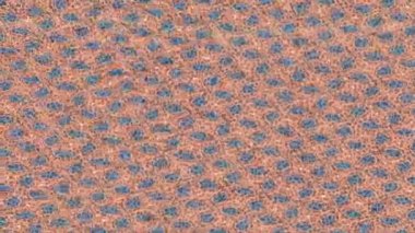 Benzersiz dijital animasyon tarzı grafikleri olan yaratıcı ortam tasarımı için yenilikçi hareket dokusu