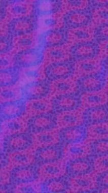 Profesyonel video projeleri sanat tarzı için organik hareketli arkaplan tasarımı