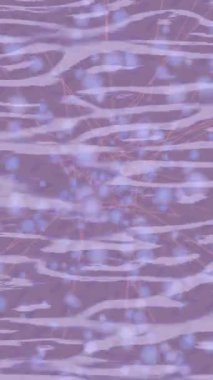 Benzersiz dijital hareket grafiklerine sahip yaratıcı sinematik projeler için yumuşak animasyon yüzeyi