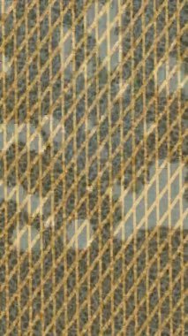 Yaratıcı video düzenleme film arkaplan tasarımı için minimalist organik hareket grafikleri