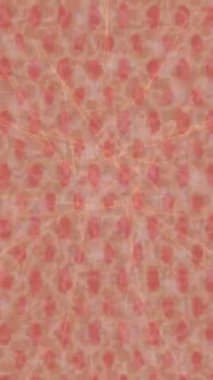 Yaratıcı video düzenleme film tasarımı için benzersiz hareket grafikleri biçimi giriş hareketi video pro