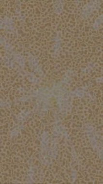 Dijital doku yüzey tasarım biçimi ile modern video animasyonu için gelişmiş hareket grafikleri