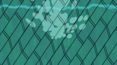 Benzersiz dijital hareket grafiklerine sahip yaratıcı sinematik projeler için yumuşak animasyon yüzeyi