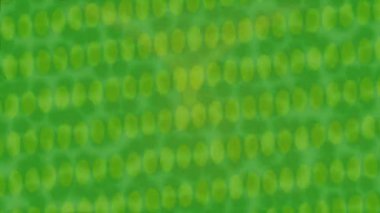 Yaratıcı video düzenleme film arkaplan tasarımı için minimalist organik hareket grafikleri